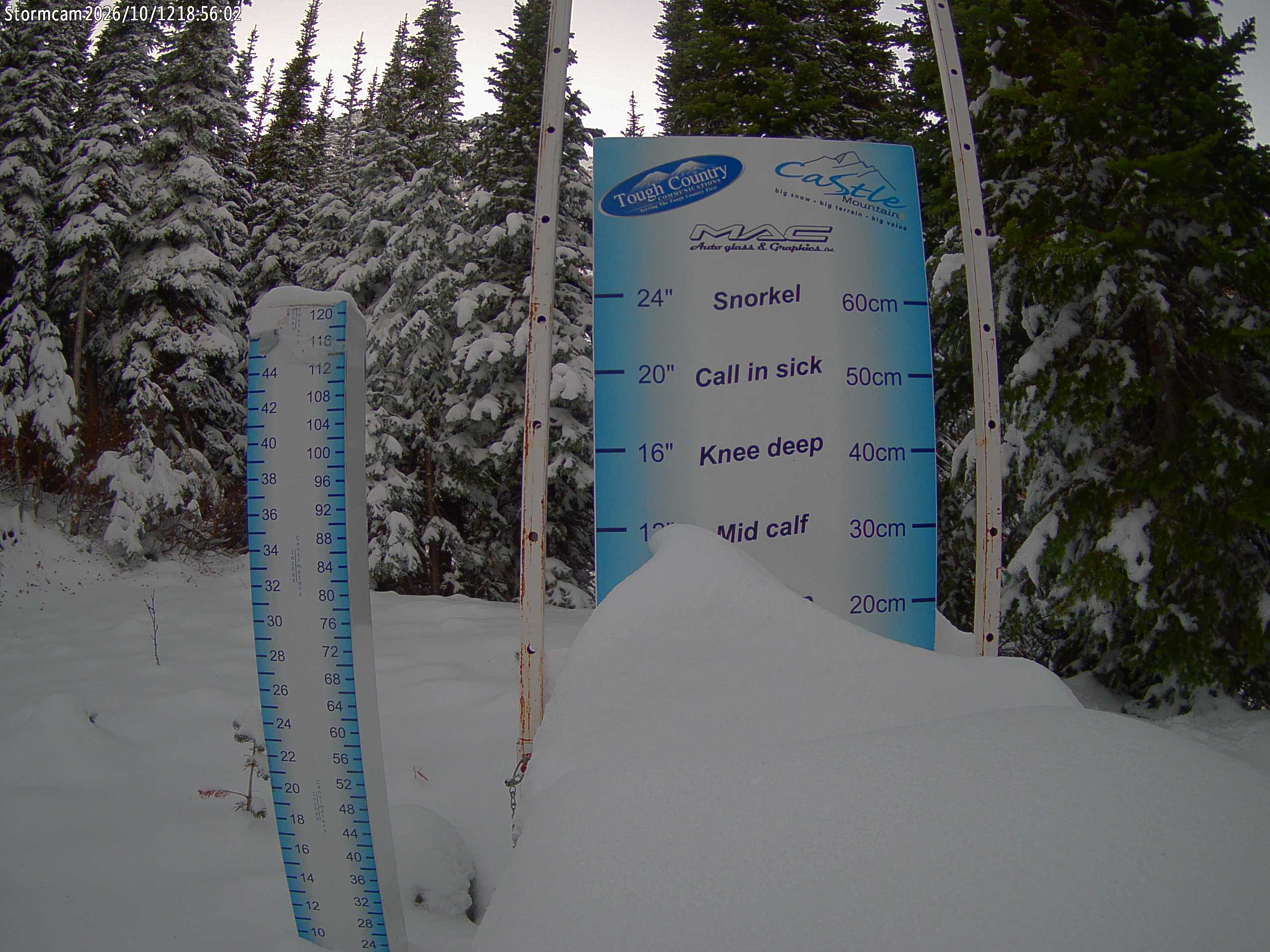 Storm Cam (snow stake)
