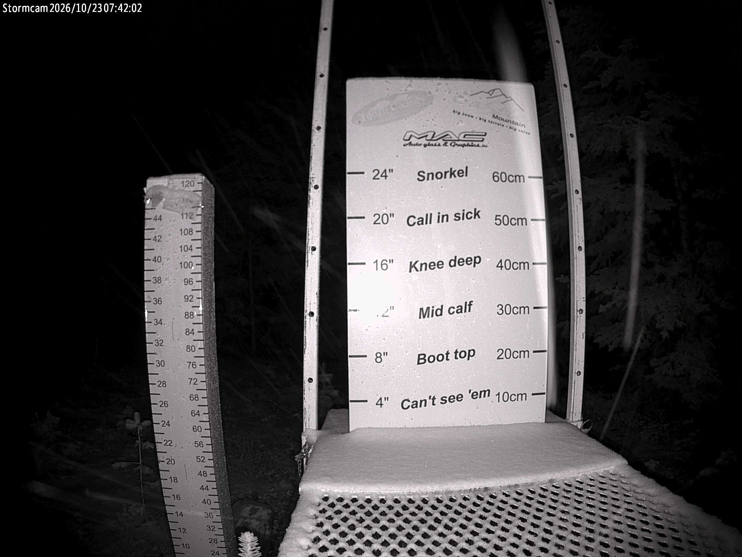 Storm Cam (snow stake)