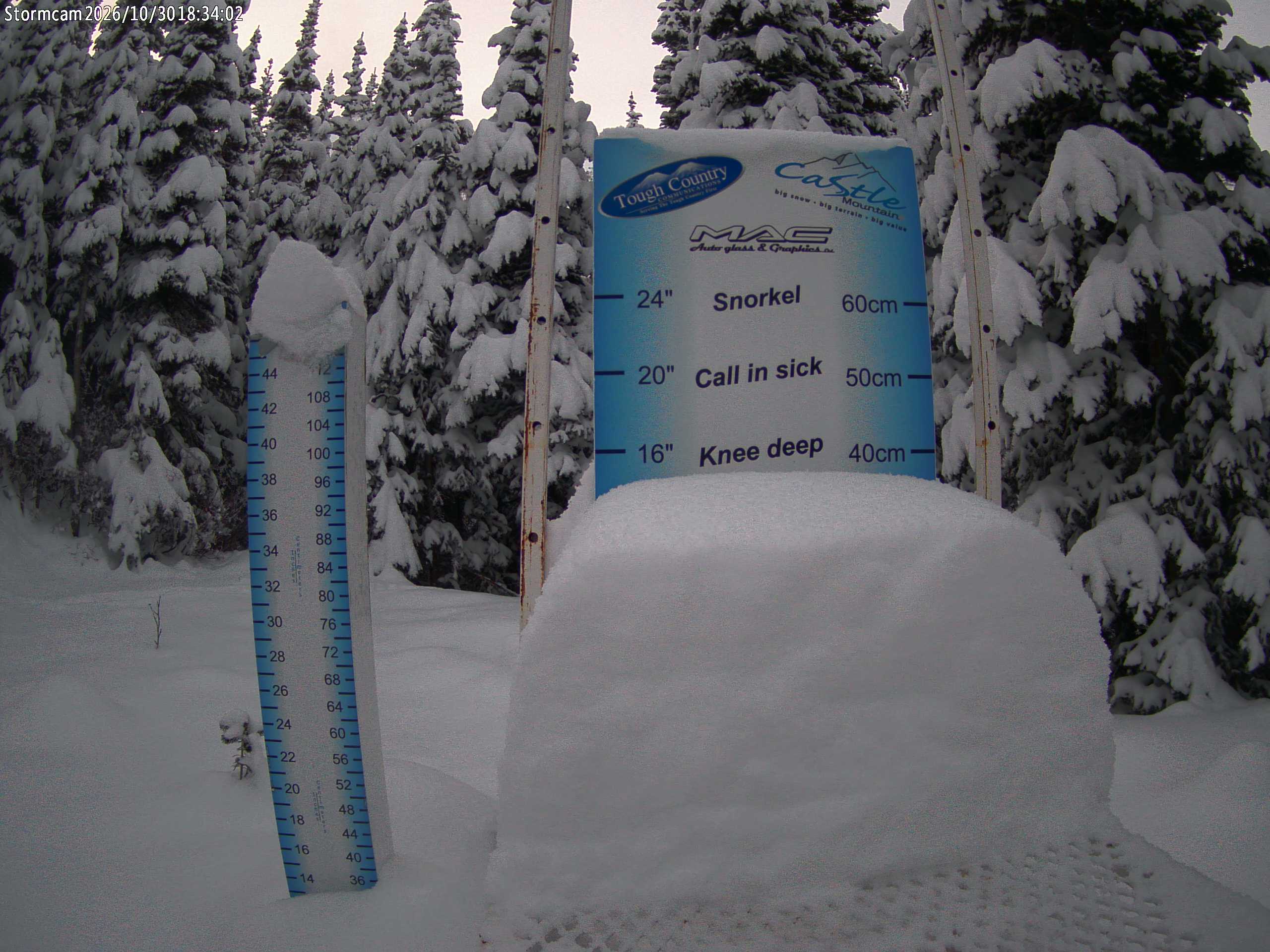 Storm Cam (snow stake)