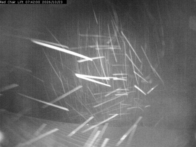 Tamarack (Red) Chair 1