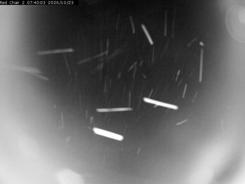 Tamarack (Red) Chair 2 (snow stake)